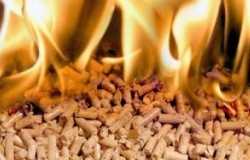 В грядущий осенне-зимний сезон более 90 тысяч человек в Молдове воспользуются системами отопления на биомассе