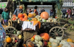 Bostaniada - 2014: is determined the biggest pumpkin of the festival