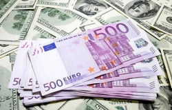 The single European currency continues to grow