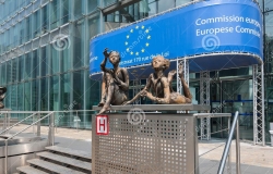 Pictorii moldoveni îşi vor expune lucrările la Comisia Europeană din Bruxelles
