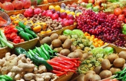 IFAD выделил Молдове кредит на сумму более 16 миллионов долларов