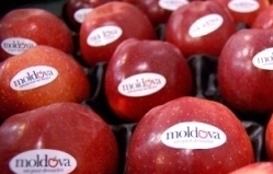 Молдавские яблоки продаются в супермаркетах Румынии