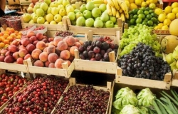 Молдова будет экспортировать фрукты в Канаду