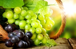 Молдова остается в тройке лидеров по экспорту винограда в Россию