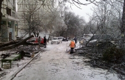 Ограничение движения по улице Александру чел Бун в субботу, 20 декабря