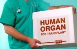 This year more than 62 million lei is going to be spent on the transplantation of organs and tissues.