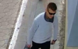 Разыскиваются полицией. Если вы их узнали, позвоните 902