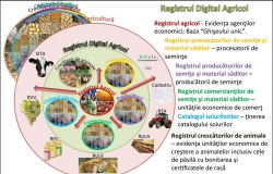 În Moldova a fost creat Registrul Digital Agricol