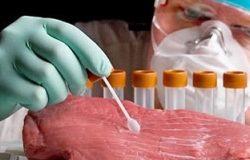 Federal Service for Veterinary and Phytosanitary Surveillance has lifted the ban on import of meat products from Moldova