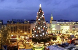 The Highest Christmas tree this year will be in Germany