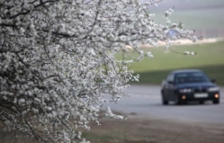 Cum va fi vremea de Paștile Blajinilor