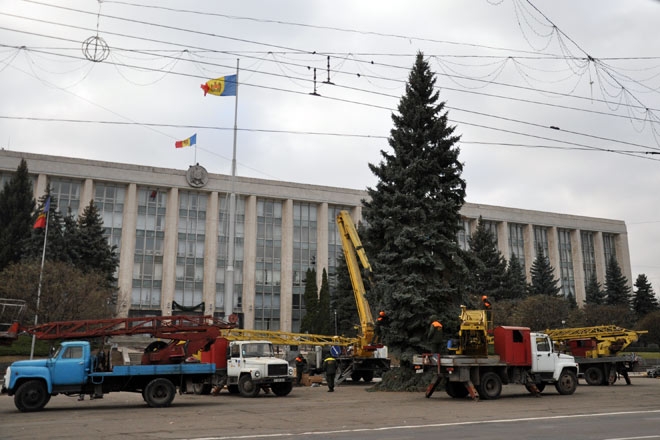 в День выборов в центре Кишинева появилась новогодняя елка.