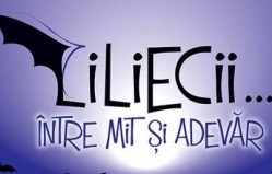 La Chișinău va fi deschisă o expoziție a liliecilor