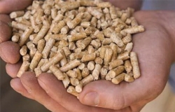 In Moldova will be built the plant  for the production of biofuels