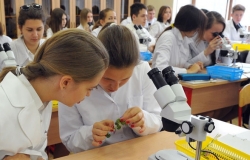 Soon the Ministry of Education will get a new project aimed at "the curriculum optimization " ...