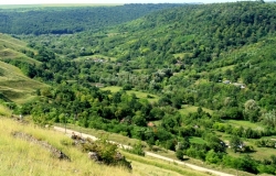 Oficiul naţional de consultanţă în silvicultură a fost deschis în Moldova