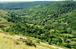 Oficiul naţional de consultanţă în silvicultură a fost deschis în Moldova