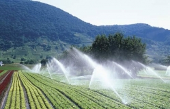 În Moldova instalarea a 10 sisteme de irigare va fi declarată proiect de importanță națională