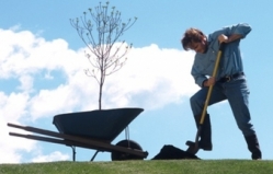 In October in our capital - Chisinau will plant 25,000 of trees