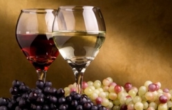 Moldova intends to increase the supply of wine to the U.S.