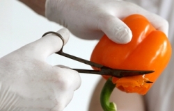 Всего 2 дня длится процедура сертификации сельхоз продукции предназначенной на экспорт в ЕС