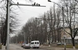 За две недели работы камер выписаны штрафы на 1 миллион леев