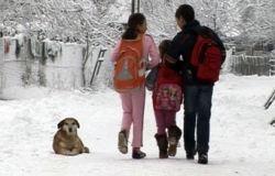 Занесенные снегом дороги вынуждают школьников сидеть дома