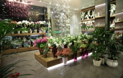 Широкий спектр цветочных магазинов