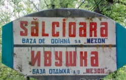 База отдыха "Salcioara"