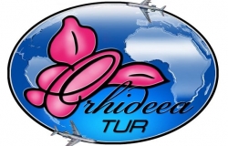 Туристическое агенство «Orhideea Tur»